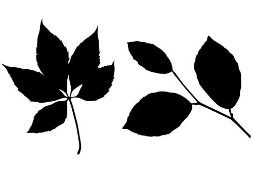 Leaf Silhouette Vector Free