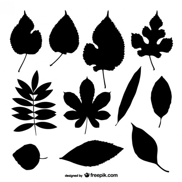 clip art oak leaf silhouette - photo #40