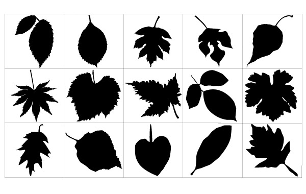 Leaves Silhouette Vector Free