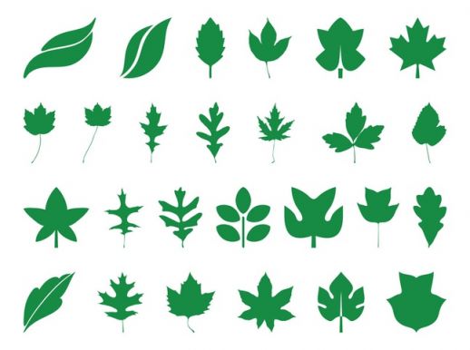 Leaves Silhouette Vector Free