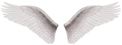 Maximum Ride Wings