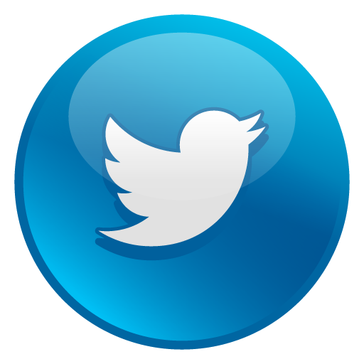 Media Social Twitter Icon