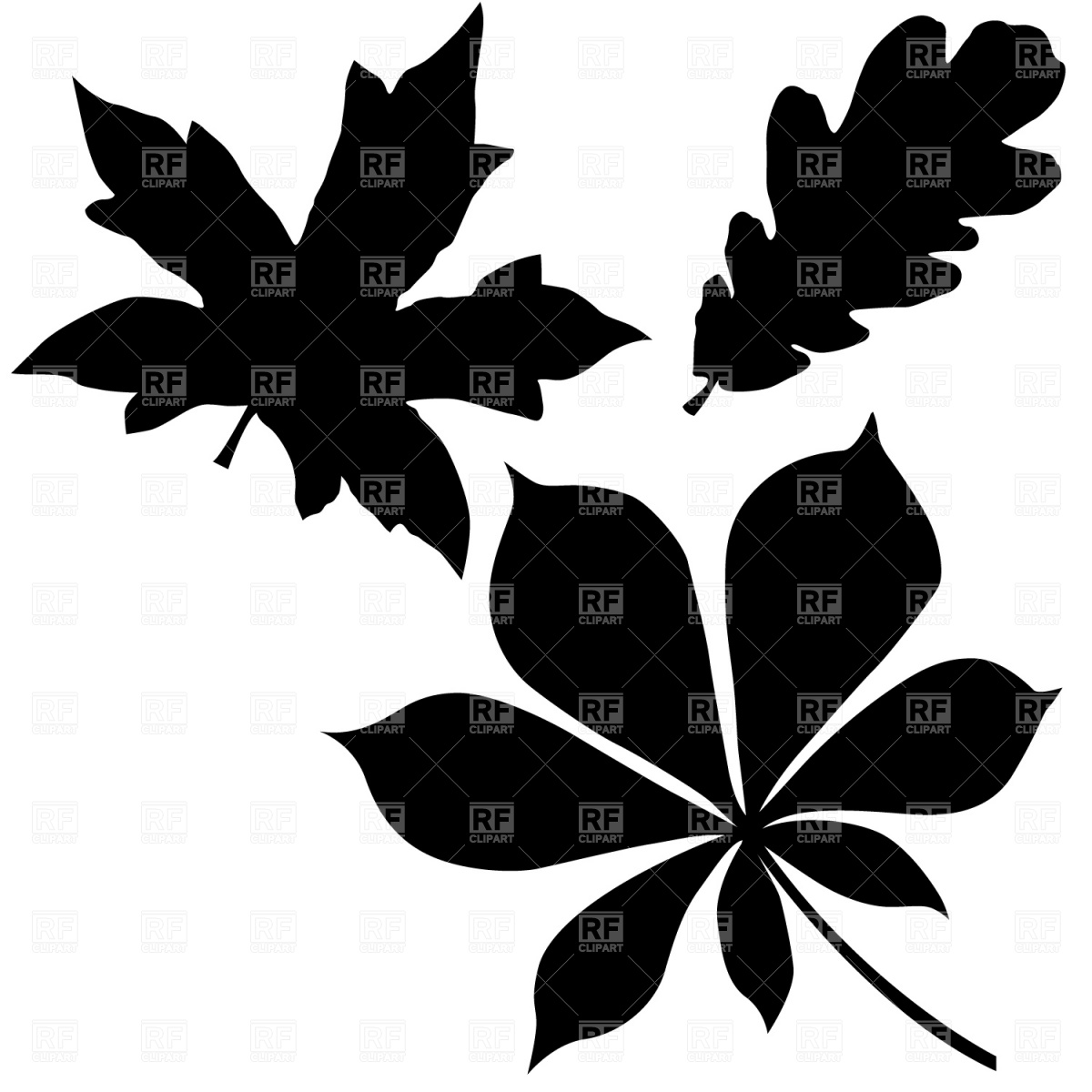 Oak Leaf Silhouette Oak Leaf Silhouette