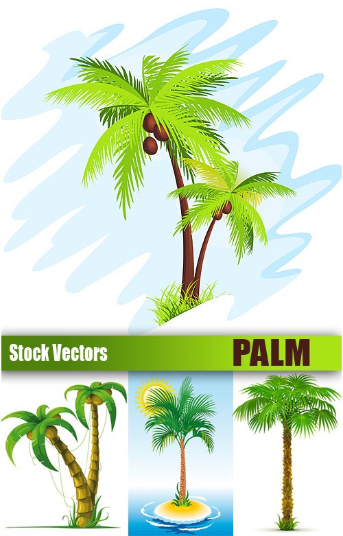 Palm Tree Vector