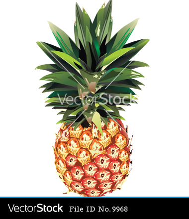 Pineapple Vector Art