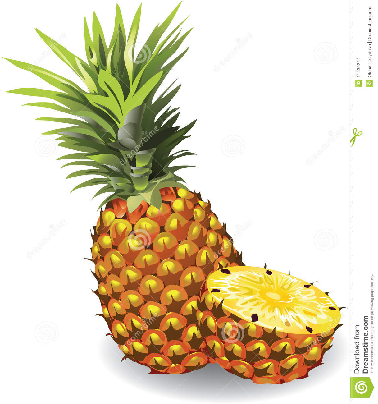 Pineapple Vector Free Download