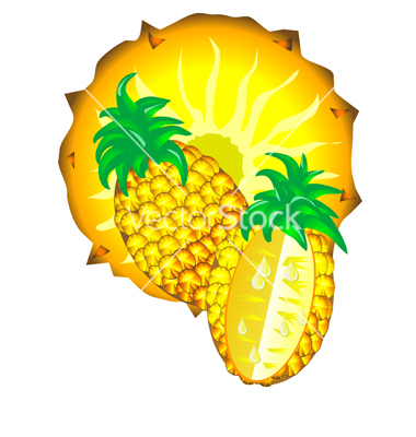 Pineapple Vector Free Download