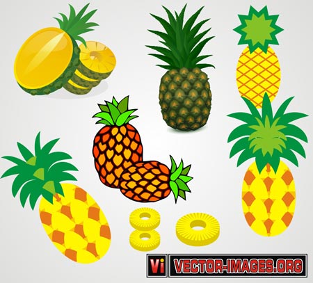 Pineapple Vector