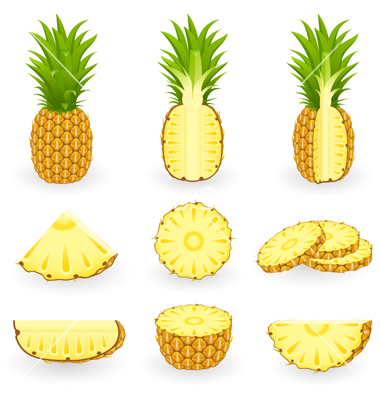 Pineapple Vector