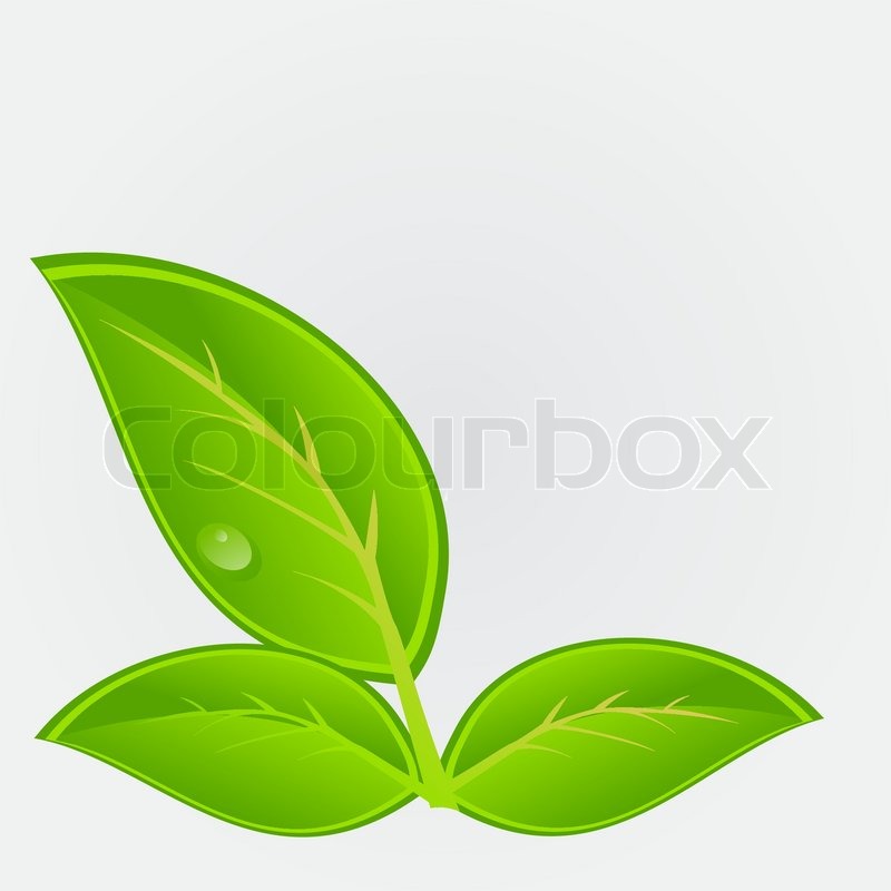 Plant Vector Icon