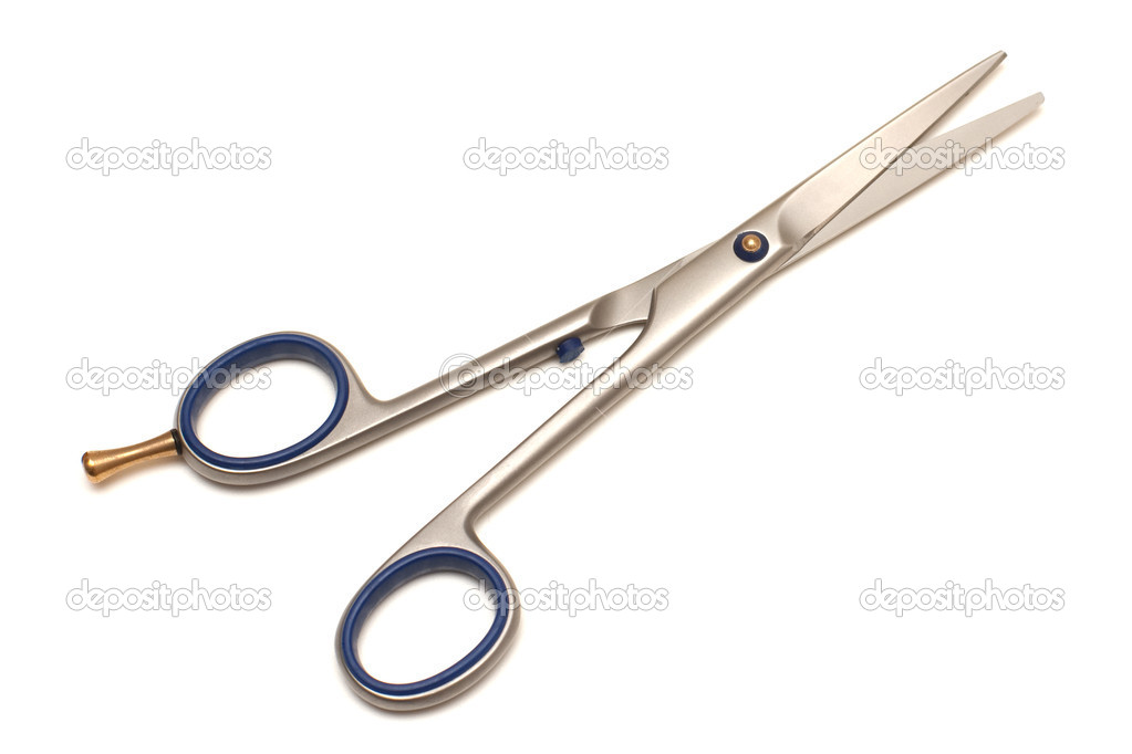 Professional Hairdressing Scissors