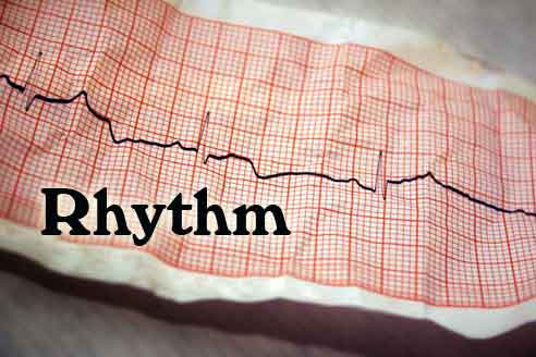 Rhythm Design Principle