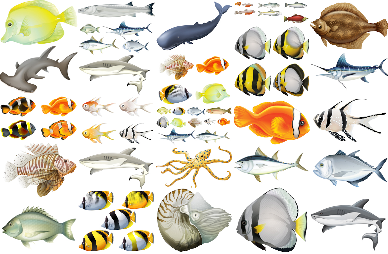 Sea Creatures Clip Art Vector