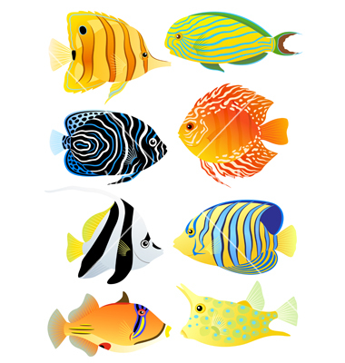 Tropical Fishes