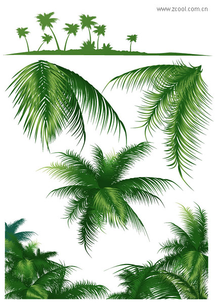 Tropical Leaves Vector