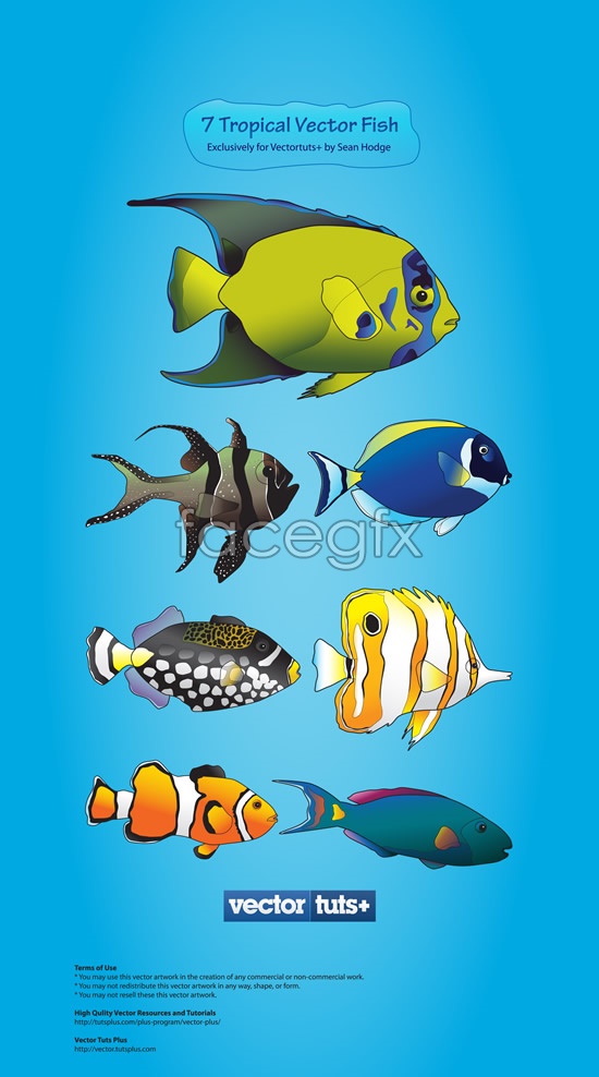 Vector Cartoon Fish