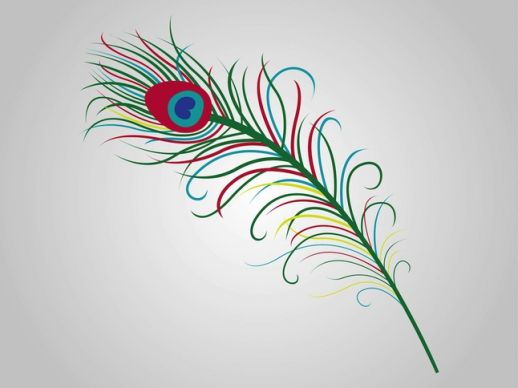 Vector Peacock Feather Clip Art