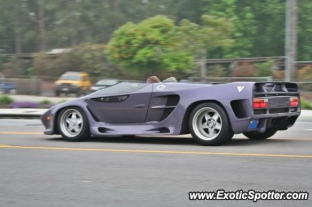 Vector W8 Vector W8