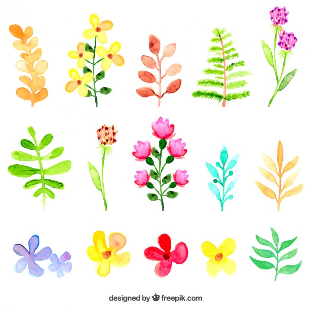 Watercolor Leaves Free Vector Flowers