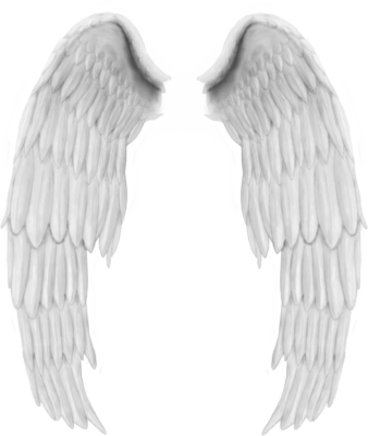 White Angel Wings PSD