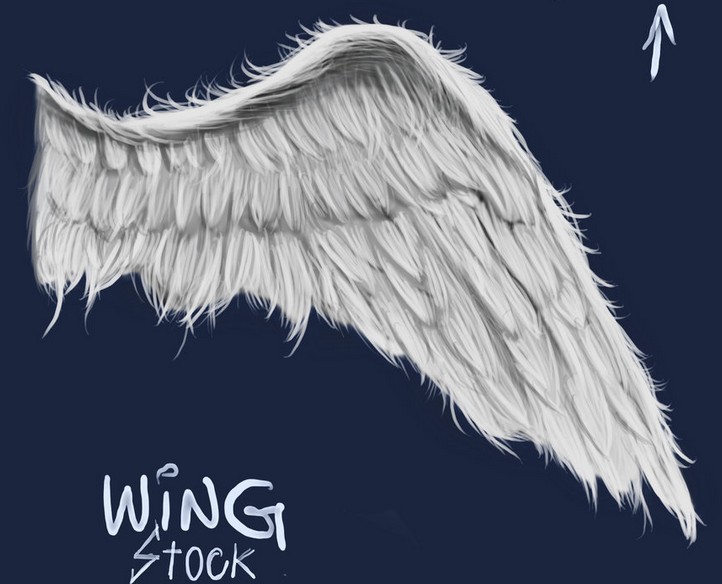 White Angle Wings