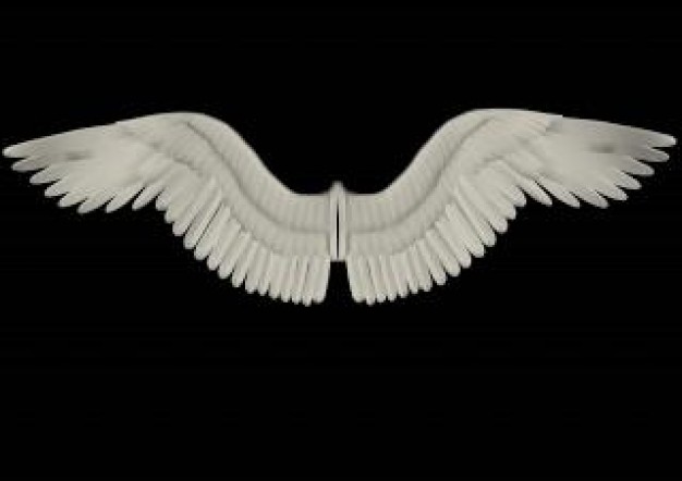 White Wings