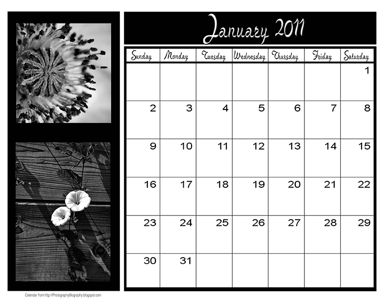 2011 Calendar Template