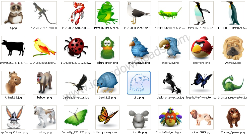12 Cute Animals Desktop Icons Images