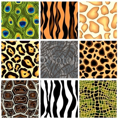 Animal Seamless Pattern Vector