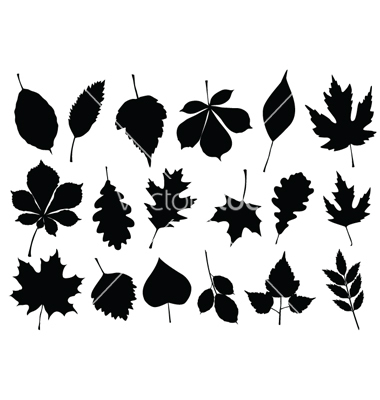 Autumn Leaves Silhouette Vectors