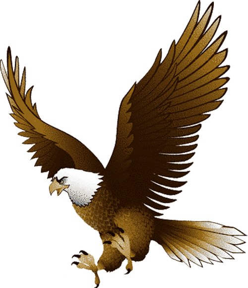 Bald Eagle Clip Art