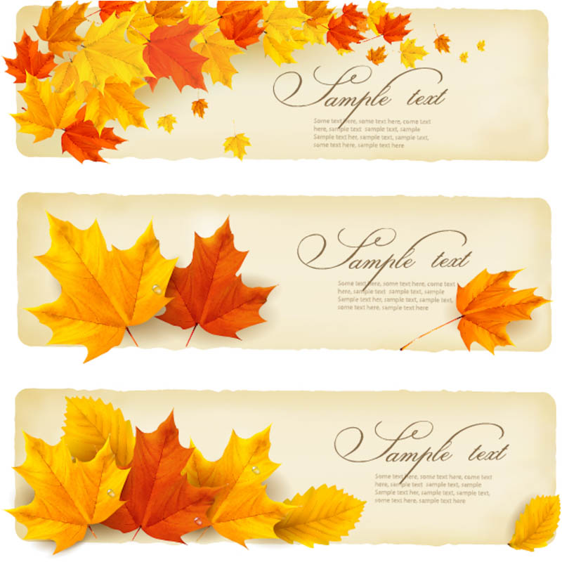 Fall Leaves Banner Clip Art