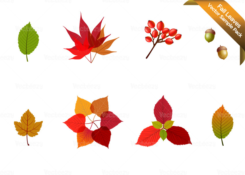 Fall Leaves Vector