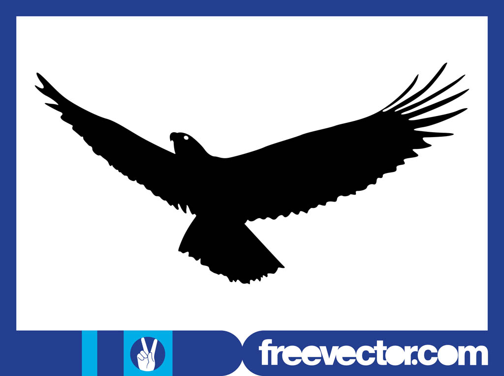 Flying Eagle Silhouette Vector