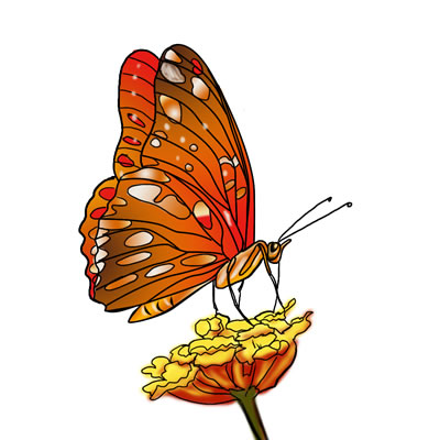Free Butterfly Clip Art