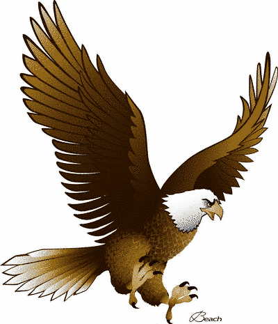 15 Eagle Vector Art Graphics Images