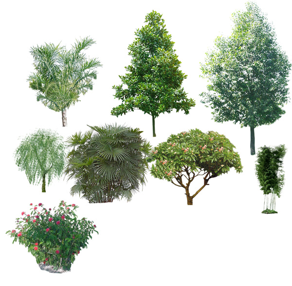 Free Photoshop Trees