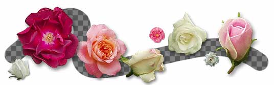 Free Rose Desktop Icons