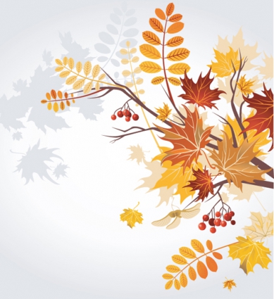 Free Vector Fall Leaves