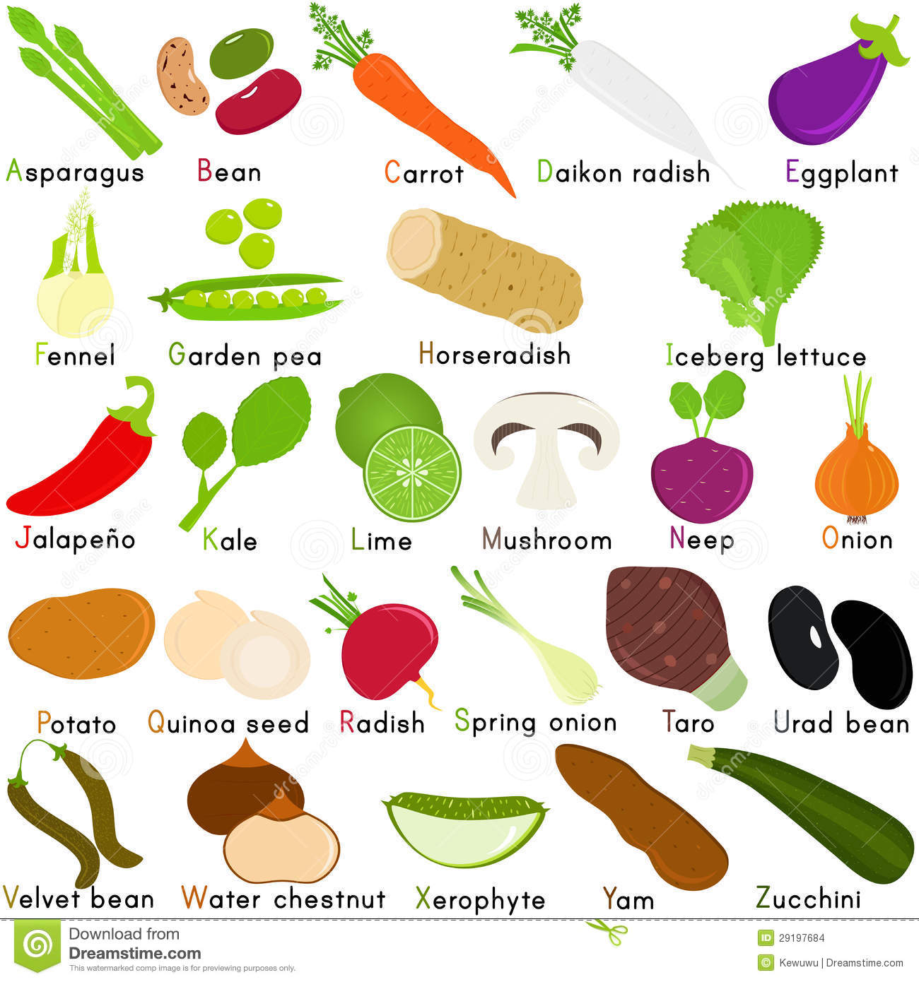 Fruits and Vegetables Alphabet Z