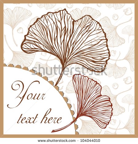 Ginkgo Leaf Vector