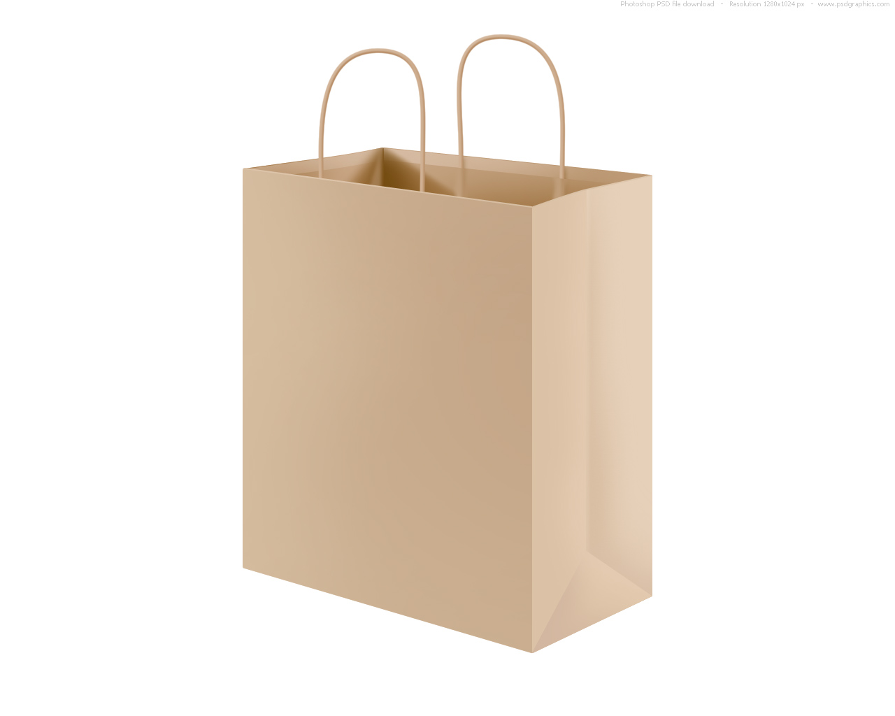 Grocery Shopping Paper Bags