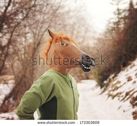 Horse Head Mask