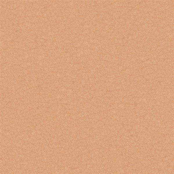 Human Skin Texture Photoshop