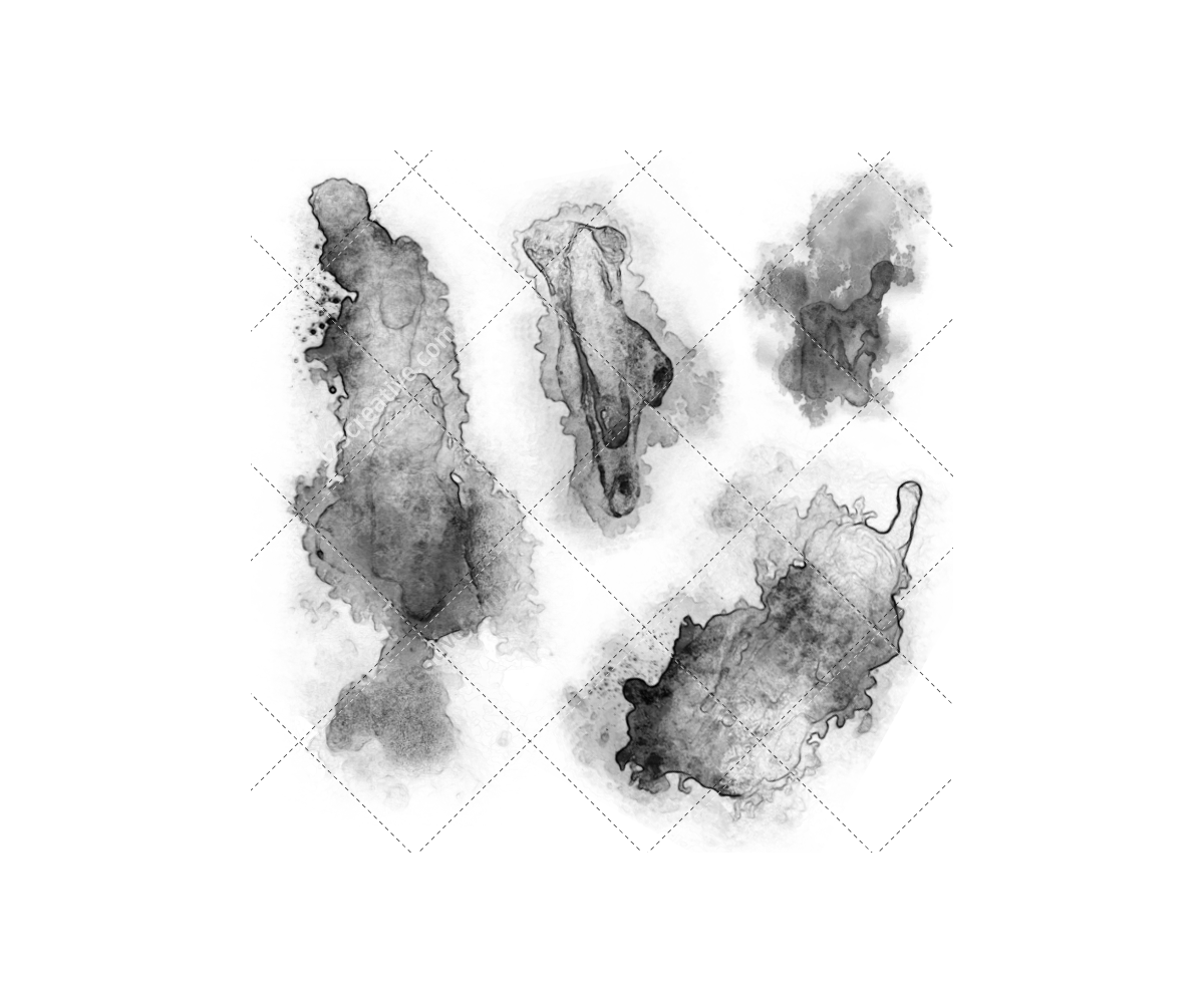 Ink Splatter Photoshop Brush Ink Splatter Photoshop Brush