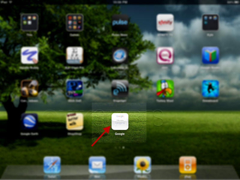 iPad Safari Home Screen