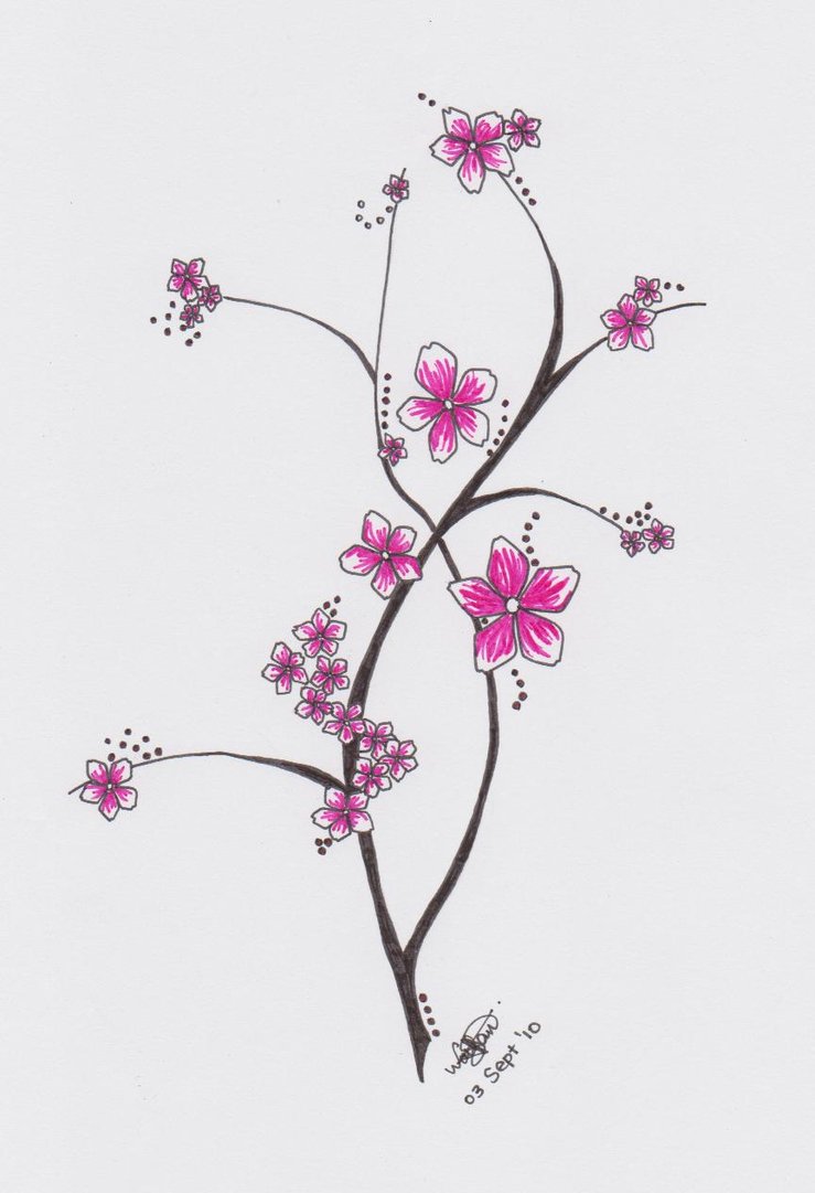 Japanese Cherry Blossom Flower Design