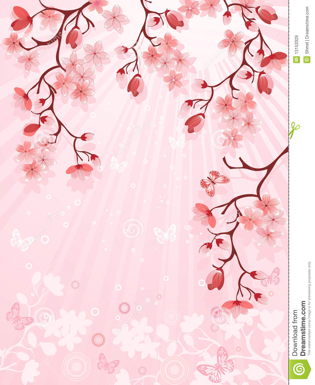 Japanese Cherry Blossom Vector