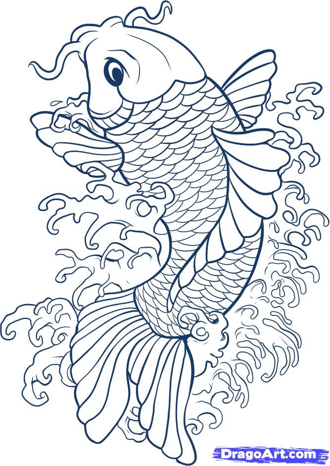 Koi Fish Drawings