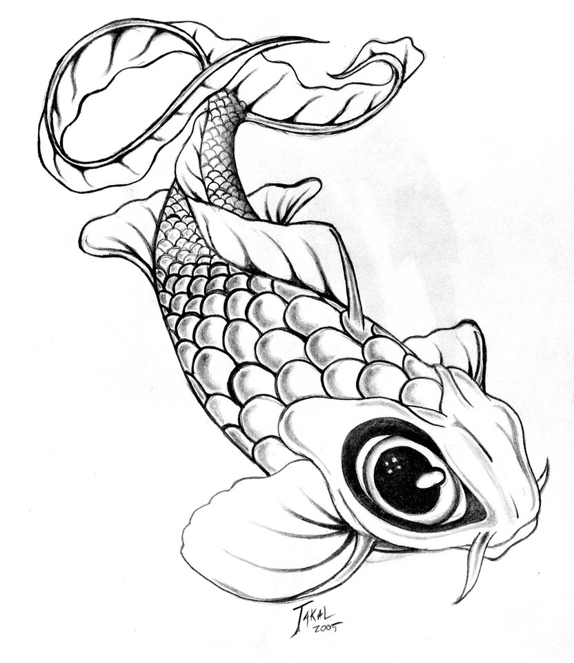 Koi Fish Tattoo Designs Drawings